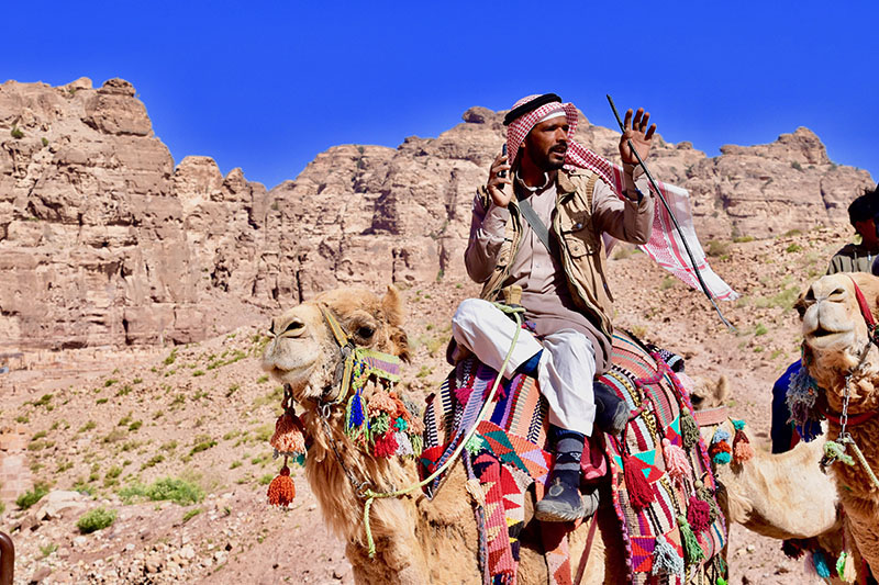 Jordan, Petra, Camels, Desert, Middle East