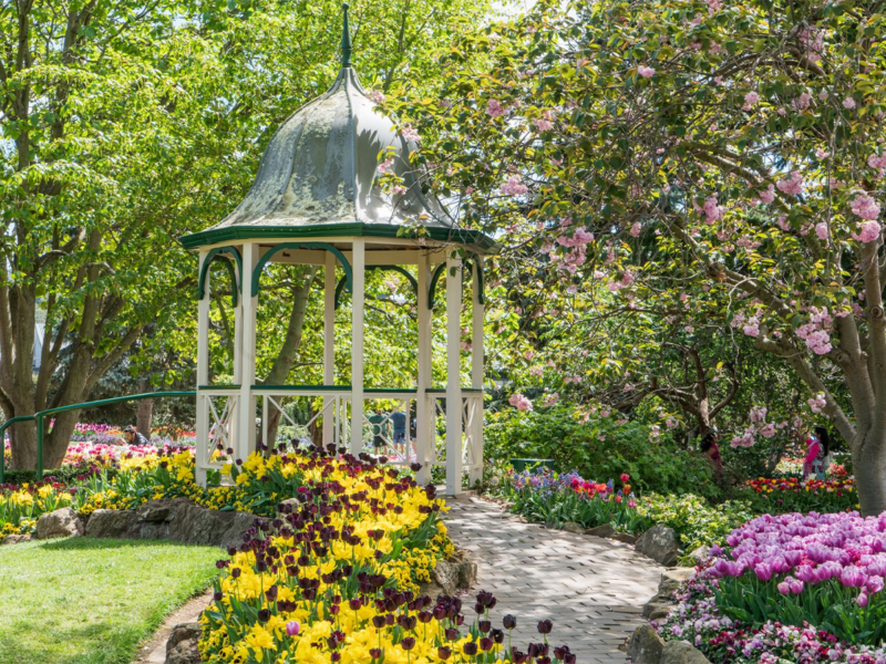 A beautiful gazebo in Bowral on the Southern Highlands
