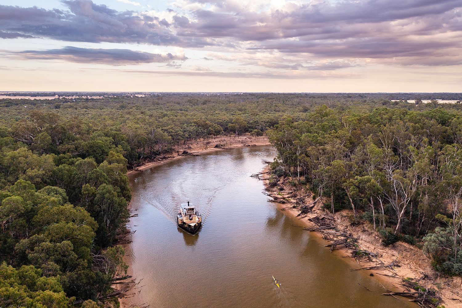 A historic paddlesteamer plying through the Murray River in Echuca Moama.